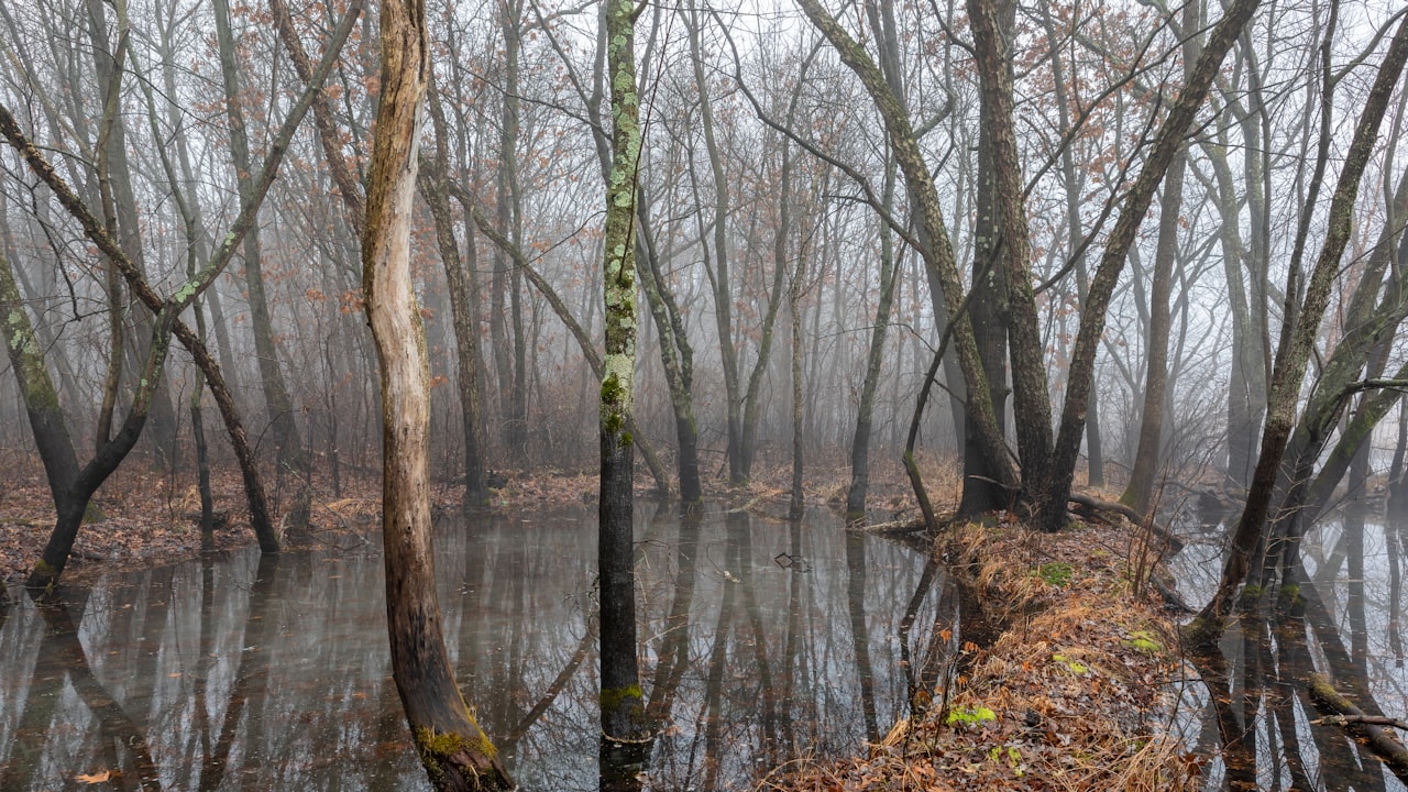 Ginger Lace Front Wig - Meet the New You