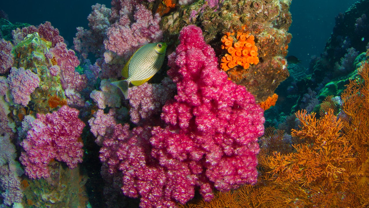 How Can You Describe The Working Of The Water-Cooled Heat Sink?